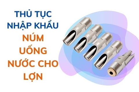 Thủ tục nhập khẩu núm uống nước cho lợn