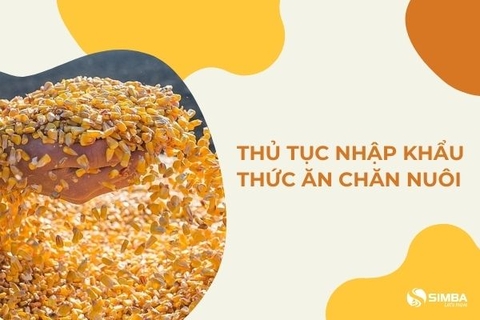 Thủ tục nhập khẩu thức ăn chăn nuôi - Những điều bạn cần biết!