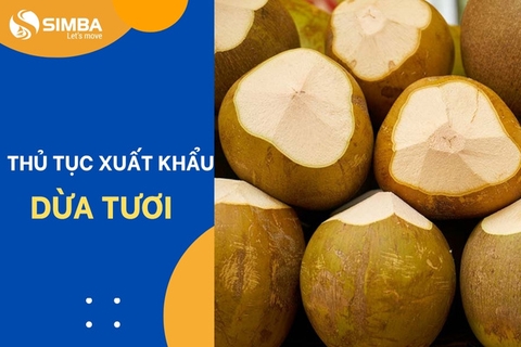 Thủ tục xuất khẩu dừa tươi chi tiết