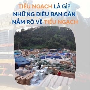 Tiểu ngạch là gì? Tìm hiểu về nhập khẩu tiểu ngạch