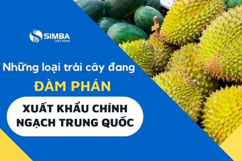 Những loại trái cây đang đàm phán xuất khẩu chính ngạch sang Trung Quốc