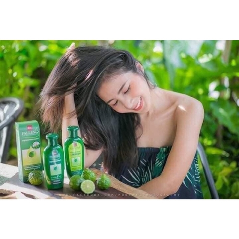 Dầu gội tinh dầu Quả Chanh Thái ( trái chúc ) ngăn ngừa Rụng Tóc, Giảm Gàu Falles