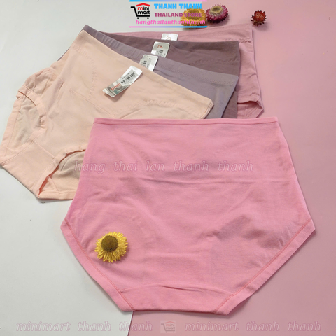 Quần lót lưng cao cotton Sisterhood 6051 - Size XXL - Form to, thấm hút mồ hôi