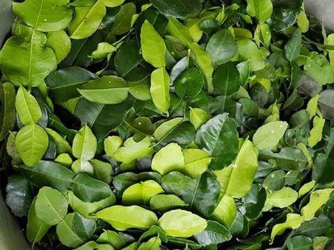 MỘT SỐ THỰC PHẨM HỖ TRỢ PHÒNG NGỪA VÀ ĐIỀU TRỊ HO, VIÊM HỌNG HIỆU QUẢ, CHI PHÍ THẤP
