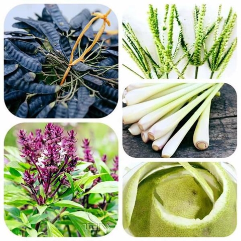CÁCH TRỊ RỤNG TÓC BẰNG VỎ BƯỞI ĐƠN GIẢN TẠI NHÀ