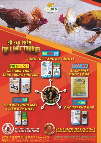 Bộ sản phẩm Top 1 Đấu Trường