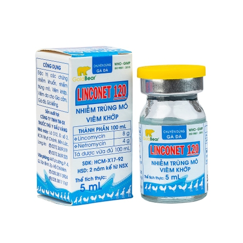 Rx-LINCONET 120 (5 ML/LỌ)-Thuốc kê đơn
