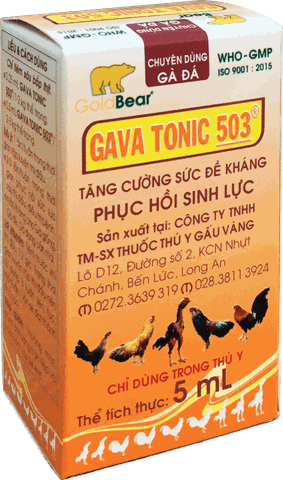 GAVA TONIC 503 (5 ML/LỌ) Nhãn cam