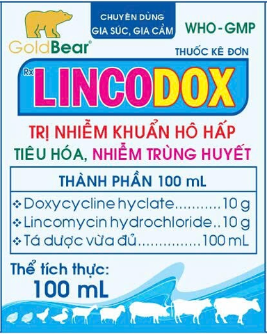LINCODOX 100ML/LỌ