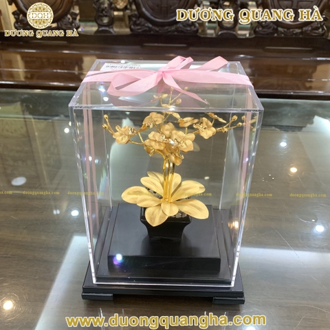 Cây Lan Để Bàn Mạ Vàng 24k Gold