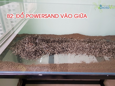 Hướng Dẫn Setup Hồ Bucep 1m2 Đơn Giản