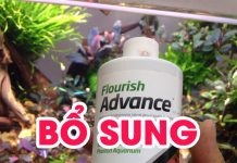 Bổ sung dinh dưỡng khi đã cạn