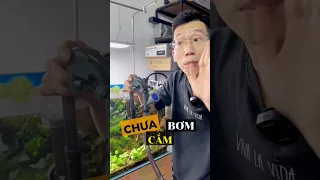 Hướng Dẫn Lắp Đặt lọc thùng Xiaoli XWA Đơn Giản