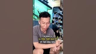Matrix Pond và Matrix thường khác nhau như thế nào ?