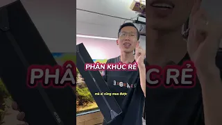 Review đèn Netlea RGBs - Đèn Cao Cấp Giá Bình Dân