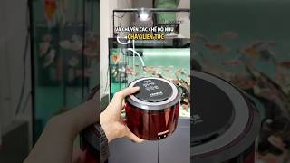 Review sủi oxy tích điện Fish Power 8905 ngoại hình độc lạ, siêu êm