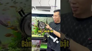 Đèn Zaqua(A60) phiên bản chỉnh App - Sự lựa chọn tuyệt vời trong tầm giá - Chơi Biotope, cá vàng..
