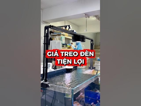 Giá treo đèn bể cá dễ dàng sử dụng, có thể điều chỉnh, dùng cho mọi loại đèn.
