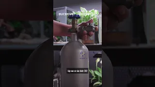 Van Co2 WEEK Aqua - Thiết kế đẹp, sang trọng, dễ sử dụng.