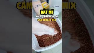 Bật mí những thành phần của cám Hikari Mix 5in1, phù hợp với mọi loại cá.