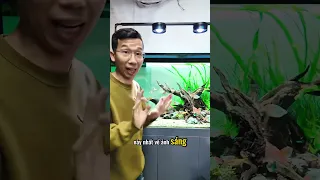 Review Đèn  Lon Coco - Điểm Nổi Bật Tạo Nên Sự Khác Biệt !