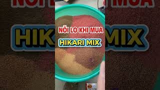Cám mix Hikari liệu có đảm bảo chất lượng, nguồn gốc ?