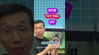 Review Đèn ZAqua(A60) - Đèn Chơi Biotope, Thuỷ Sinh Giá Rẻ - Nịnh Màu Cá - Có Chân Đi Kèm