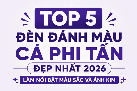 Top 5 Đèn Đánh Màu Cá Phi Tần Đẹp Nhất 2026 – Làm Nổi Bật Màu Sắc Và Ánh Kim