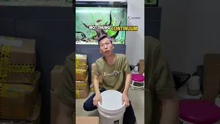UNBOX thùng vật liệu 5 củ Continuum - so sánh với Matrix