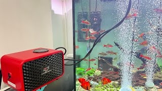 Review sủi oxy tích điện siêu êm Fish Power - Bền bỉ, giá phải chăng - 8903/8904