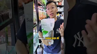 Hướng Dẫn Setup bộ nền hoàn chỉnh cho bể thuỷ sinh - Sử dụng phân và cốt nền Tropical