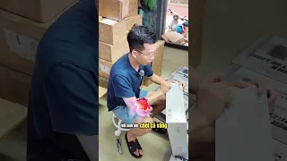 Review đèn Mayin Super Color - Ông Vua Chơi Cá Vàng.