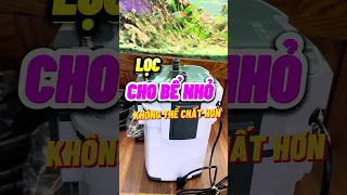 Lọc Thùng Chất Cho Bể Nhỏ 40-60cm