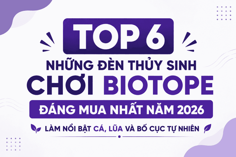 Top 6 Những Đèn Thủy Sinh Chơi BIOTOPE Đáng Mua Nhất Năm 2026 – Làm Nổi Bật Cá, Lũa Và Bố Cục Tự Nhiên