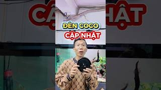 Đèn Coco FA series phiên bản cập nhật !