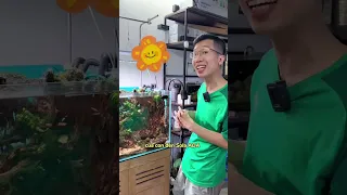 Đèn Thuỷ Sinh Ngon Giá Siêu Rẻ - Hot Nhất 2023 - Flat Solar Xp