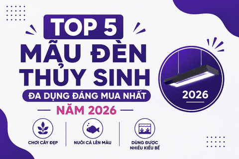 Top 5 mẫu đèn thủy sinh đa dụng đáng mua nhất năm 2026 – Chơi cây đẹp, nuôi cá lên màu, dùng được nhiều kiểu bể