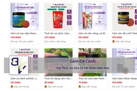 Cám Cá Cảnh – Top Thức Ăn Cho Cá Tốt Nhất Hiện Nay | Cám Kích Màu, Cám Tăng Trọng, Cám Chìm Cao Cấp