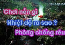 Một số câu hỏi thường gặp của người mới chơi bucep