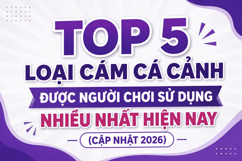 Top 5 loại cám cá cảnh được người chơi sử dụng nhiều nhất hiện nay (Cập nhật 2026)
