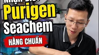 Nhận Biết Purigen Seachem Hàng Chuẩn - Hạt Nhỏ, Ẩm, Mùi Nồng