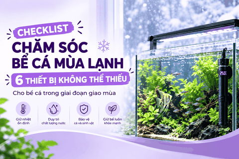 Checklist chăm sóc bể cá mùa lạnh: 6 thiết bị không thể thiếu cho bể cá trong giai đoạn giao mùa