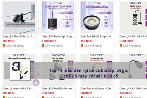 Top 14 mẫu đèn rọi bể cá biotop, wrgb, 3 chế độ màu với các kích cỡ