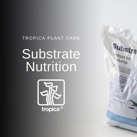 Cốt nền Tropica Substrate - Phụ kiện thủy sinh chính hãnġ