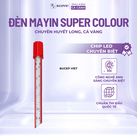 Đèn MAYIN Super Colour, Đèn Thủy Sinh Thế Hệ 3 Ánh Sáng Nổi Bật Cá Rồng, Cá Vàng, Cá Chép Đủ Kích Thước