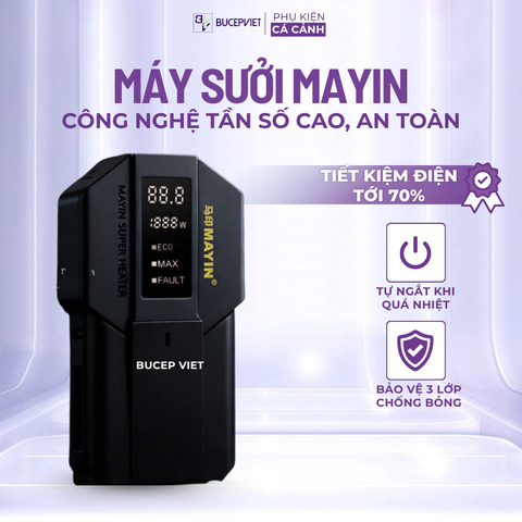 Sưởi Mayin Titan - Mẫu sưởi bế cá thủy sinh bền rẻ, nhiều công suất 300w - 600w - 1200w