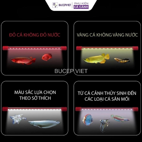 ĐÈN M104 AQUAPLUS 4 HÀNG BÓNG 11 CHẾ ĐỘ MÀU CHO BỂ CÁ CẢNH