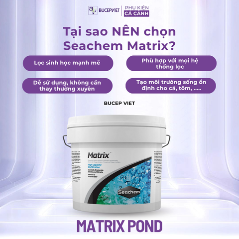 Vật liệu lọc Matrix Pond (hạt to) – Lọc nước hiệu quả cho bể cá tép thủy sinh