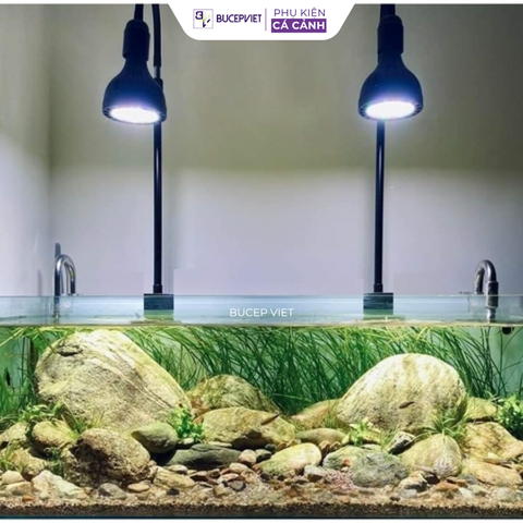 Đèn rọi Biotop thân cao (chiều cao thay đổi) - Đèn Rọi Thủy Sinh bể cá cảnh - hồ thủy sinh
