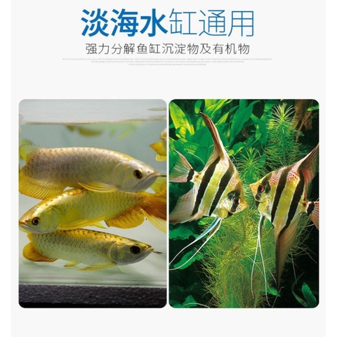 Vi sinh tươi cao cấp Prodibio BioDigest (1 hộp 30 ống) - Khởi tạo hệ vi sinh mạnh mẽ, hoàn hảo cho mọi bể cá